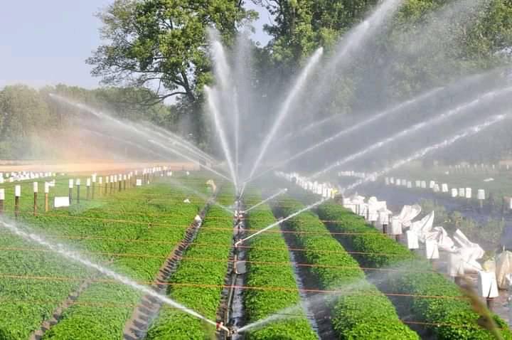 Farm Sprinkler Irrigation