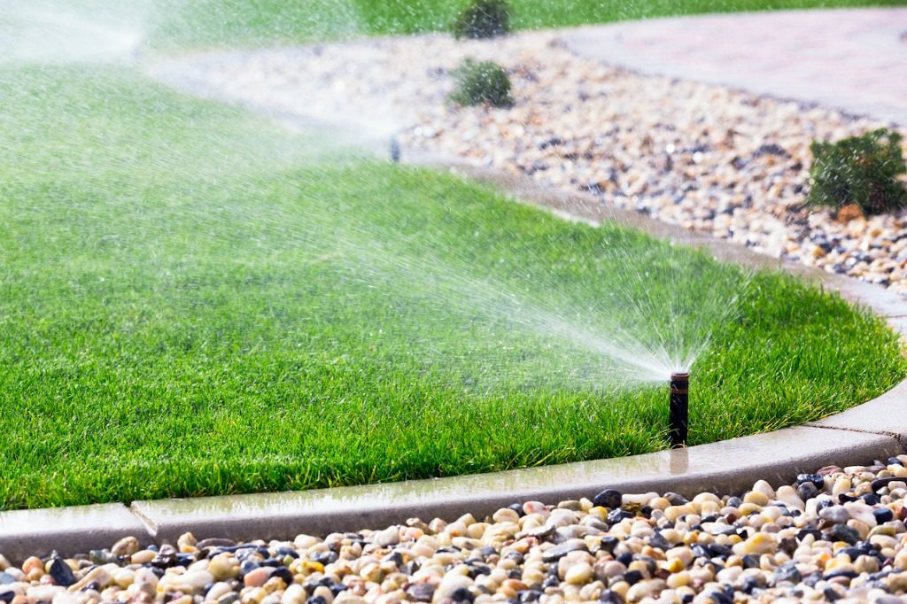 How to Maintain Sprinkler Heads?
